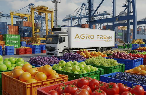 Імпортна продукція в Україні: тренди, труднощі, рішення