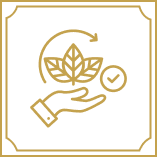 icon1